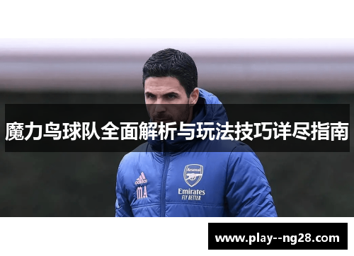 魔力鸟球队全面解析与玩法技巧详尽指南