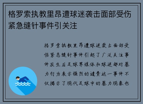 格罗索执教里昂遭球迷袭击面部受伤紧急缝针事件引关注 格罗索执教里昂遭球迷袭击面部受伤紧急缝针事件引关注